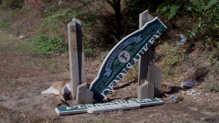 "Welcome to Pennsauken" sign broken by deer on Junction 90 South Jersey