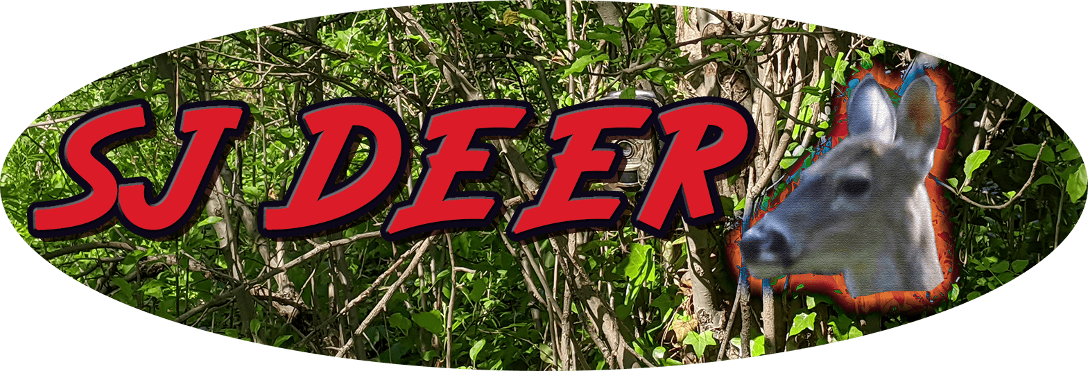 Official page banner for SJ Deer red letters on forrest backround