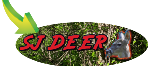 SJ Deer text on wooded backround.